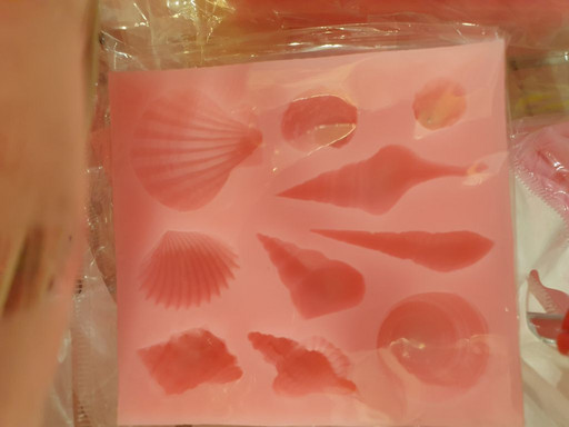 Молд ракушки море