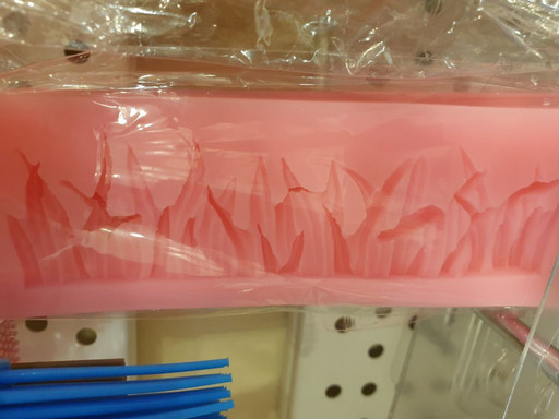 Молд трава природа