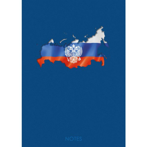 Ежедневник полудатированный, А5, 192 л., Listoff Государственная символика РФ, 7БЦ, лам. глянц.