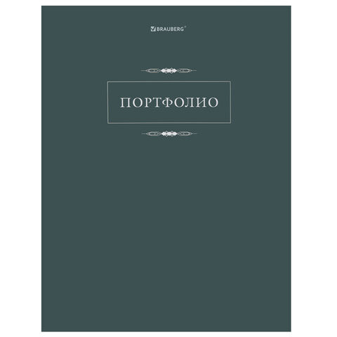 Папка-портфолио универсальная, 4 кольца, 20 файлов, 7БЦ матовая, BRAUBERG "Classic", 117554
