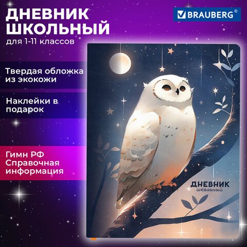 Дневник 1-11 класс 48 л., кожзам (твердая с поролоном), печать, наклейки, BRAUBERG, "Сова", 106947