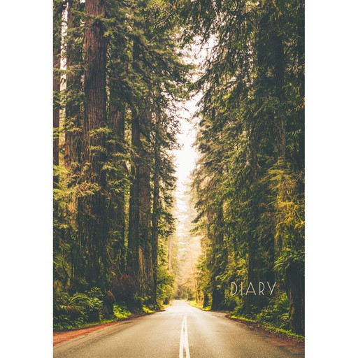 Ежедневник недатированный, А5, 128 л., Listoff Дорога в лесу, 7БЦ, лам. глянцев, бел. блок 60 г/м2