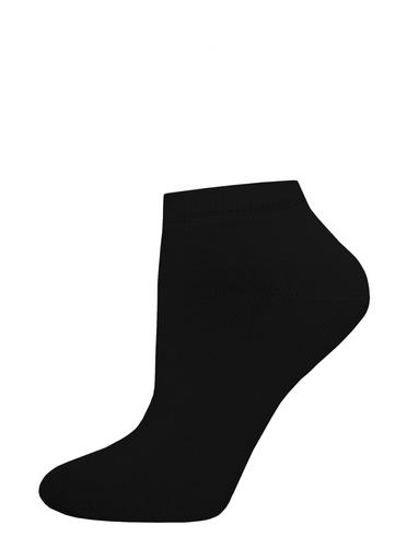 БРЕСТСКИЕ НОСКИ ЖЕНСКИЕ 1233 BASIC (укороченные)