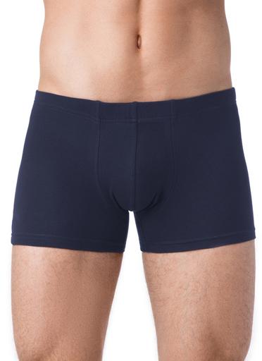 Брестские Трусы мужские ALFA BOXER 16С630094,98/L