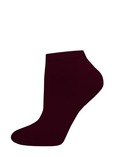 БРЕСТСКИЕ НОСКИ ЖЕНСКИЕ 1233 BASIC (укороченные)