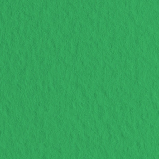 Бумага для пастели А4 (1 л.), 160 г/м², цв.: Prato/Травяной, FABRIANO Tiziano