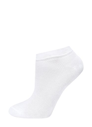 Брестские Носки женские 1143 CLASSIC (укороченные)