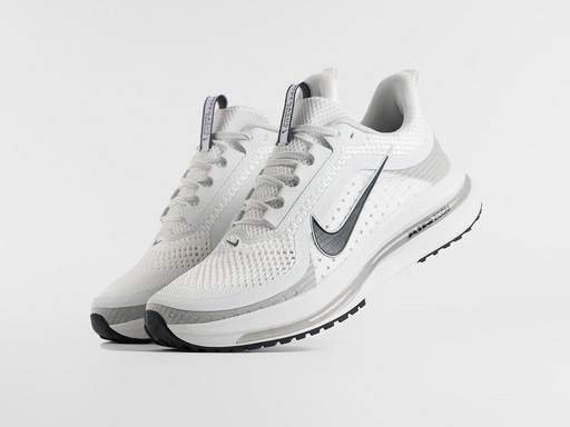 Кроссовки Nike Pegasus Premium (46650)