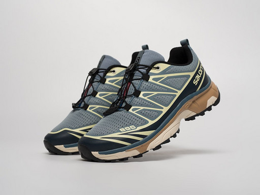 Кроссовки Salomon ADVANCED XT-6 ADV (41137)