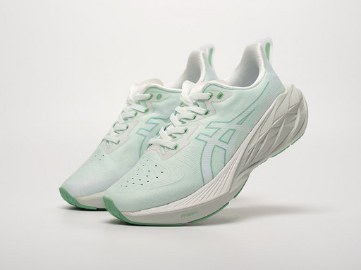 Кроссовки Asics Novablast 4 (42007)