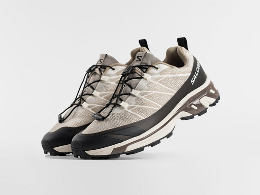 Кроссовки Salomon ADVANCED XT-4 (46675)