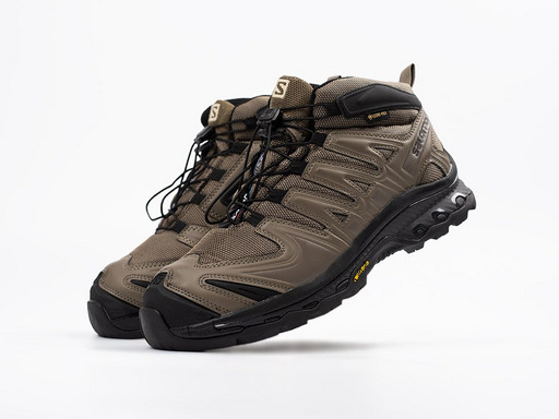 Зимние Кроссовки Salomon XA PRO 3D Mid (43917)