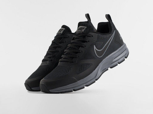 Кроссовки Nike Air Pegasus 30+ (46819)