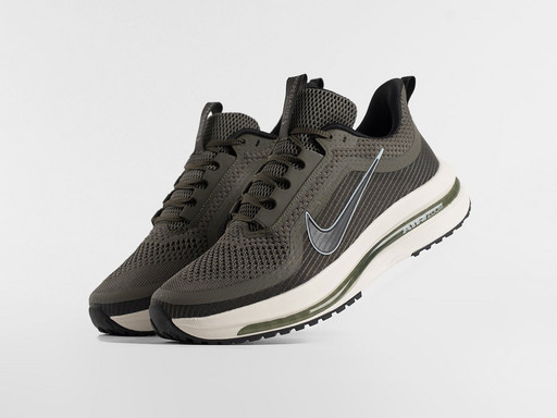 Кроссовки Nike Pegasus Premium (46646)