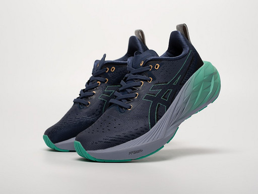 Кроссовки Asics Novablast 4 (42404)