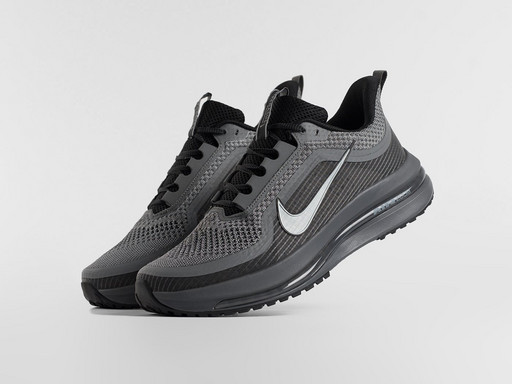 Кроссовки Nike Pegasus Premium (46647)