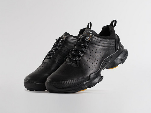 Кроссовки Ecco Biom (31362)