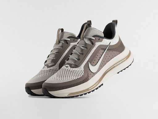 Кроссовки Nike Pegasus Premium (46648)