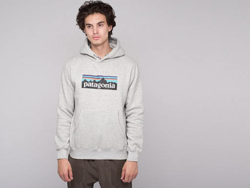 Худи PATAGONIA (19656)