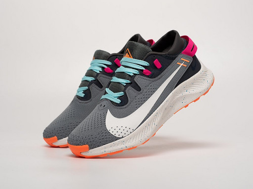 Кроссовки Nike Pegasus Trail 2 (40971)