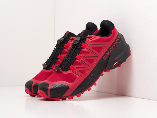 Кроссовки Salomon SPEEDCROSS 5 GTX (19905)