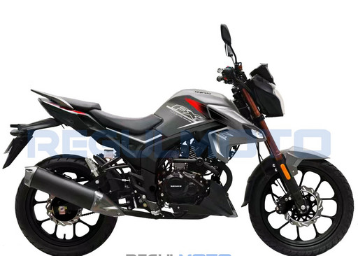 Мотоцикл Regulmoto Majesty