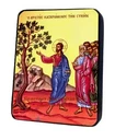 Проклятие Смоковницы