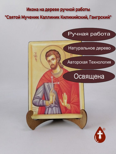 Святой Мученик Каллиник Киликийский, Гангрский, 14x20x1,8 см, арт В1018