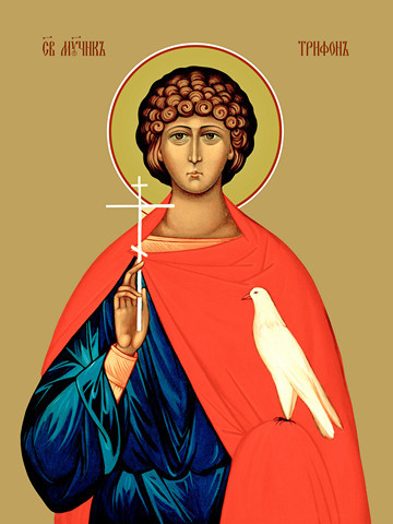 Трифон Апамейский, мученик, 30x40 см, арт Ид11212