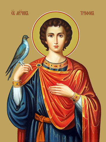 Трифон Апамейский, мученик, 25x34 см, арт Ид8894