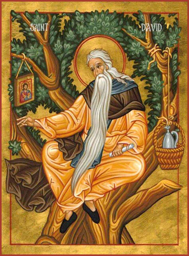 Преподобный Давид Солунский (Фессалоникийский), отшельник, арт В465