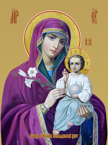 Неувядаемый цвет, 25х28 см, арт И9471