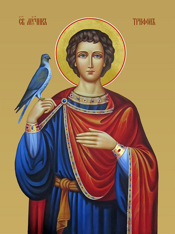 Трифон Апамейский, мученик, 15х20 см, арт И8489