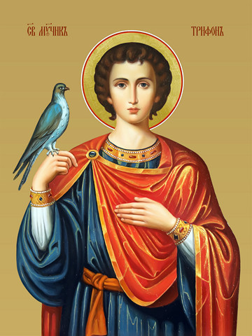 Трифон Апамейский, мученик, 25х28 см, арт И10104