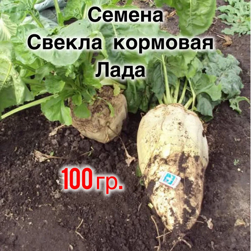 Свекла Кормовая Лада 100 гр.